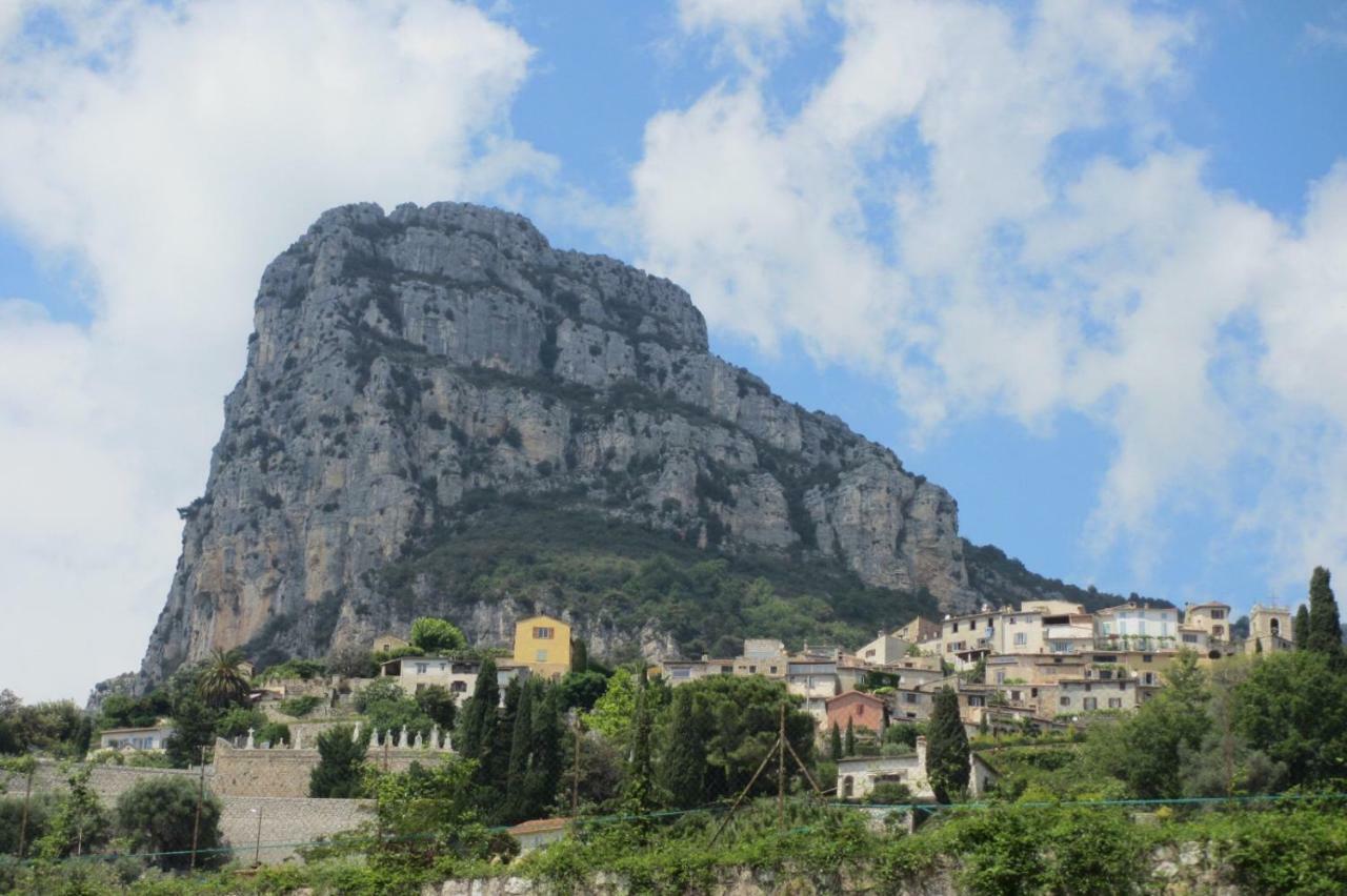Les LILLAS Saint-Jeannet  Extérieur photo